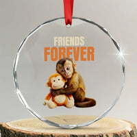 Friends Forever Viral Punch The Monkey Crystal Glass Ornament Cute Baby Monkey Hugging Plush Toy Best Friend Gift