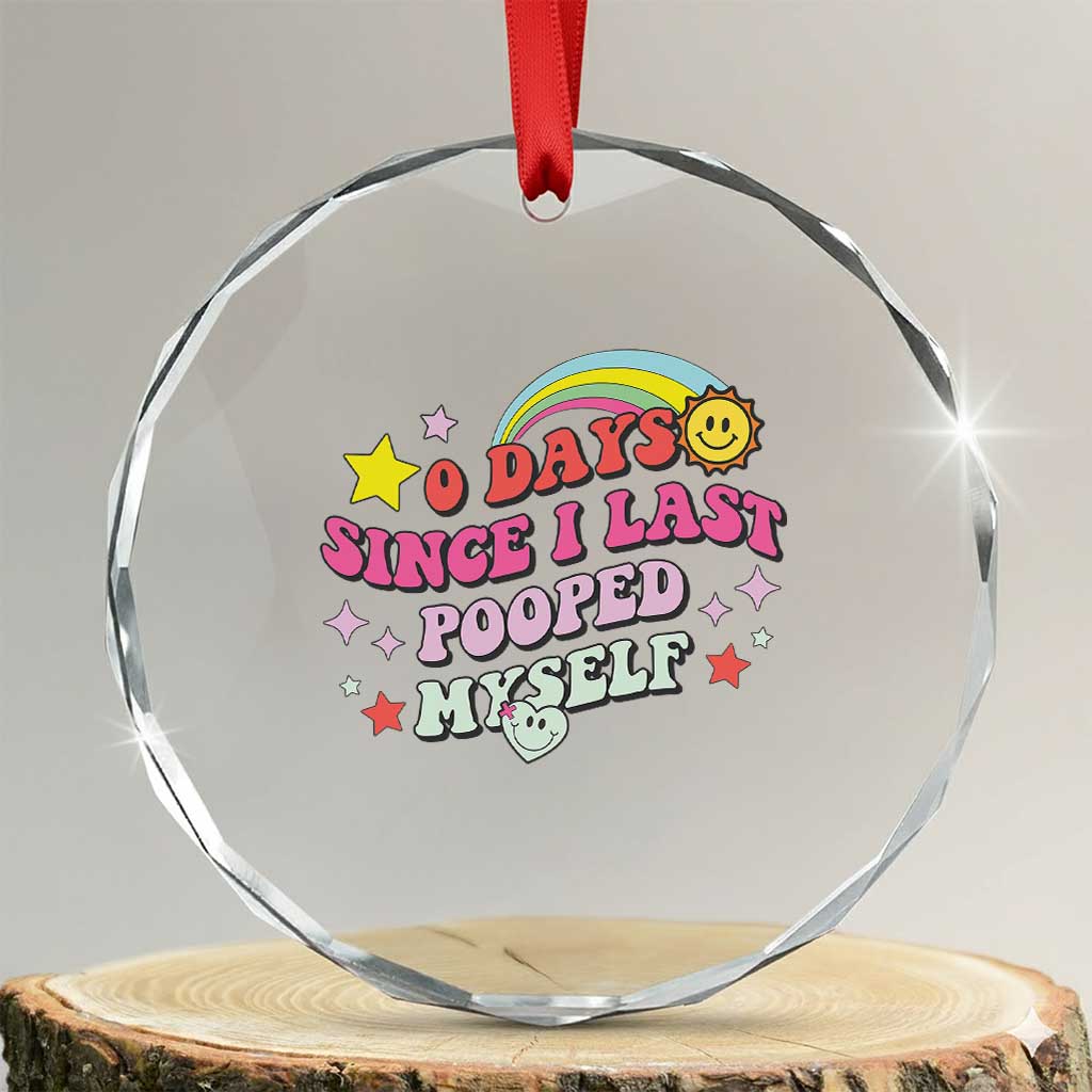 Funny 0 Days Since I Last Pooped Myself Crystal Glass Ornament Joke Meme Gag TS11