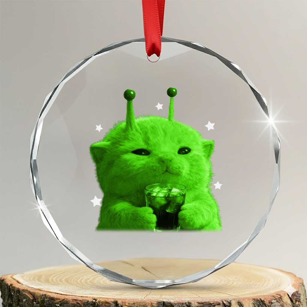 Funny Alien Cat Meme Crystal Glass Ornament Funny Kitten 90s Retro Vintage Graphic Weird Cats Y2k - Wonder Print Shop