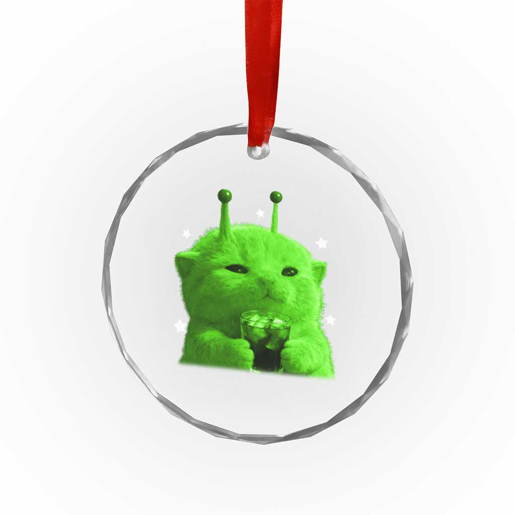 Funny Alien Cat Meme Crystal Glass Ornament Funny Kitten 90s Retro Vintage Graphic Weird Cats Y2k - Wonder Print Shop