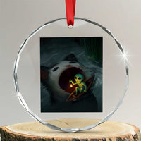 Funny Alien Cat Meme Crystal Glass Ornament Weird Silly - Wonder Print Shop