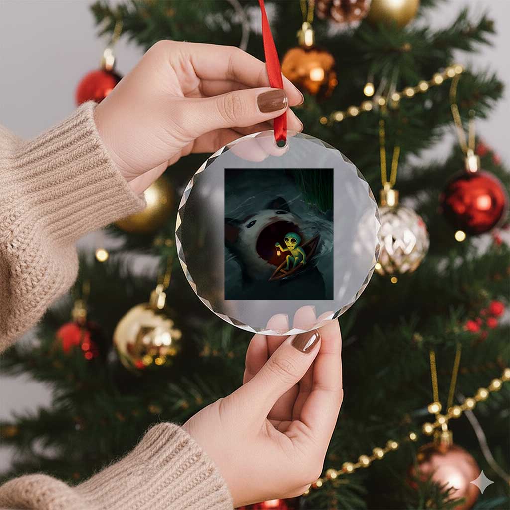 Funny Alien Cat Meme Crystal Glass Ornament Weird Silly - Wonder Print Shop