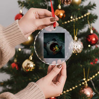 Funny Alien Cat Meme Crystal Glass Ornament Weird Silly - Wonder Print Shop