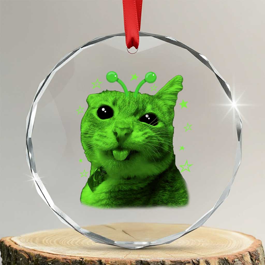 Funny Alien Cat Meme Retro Y2K Vintage Space Kitty Crystal Glass Ornament