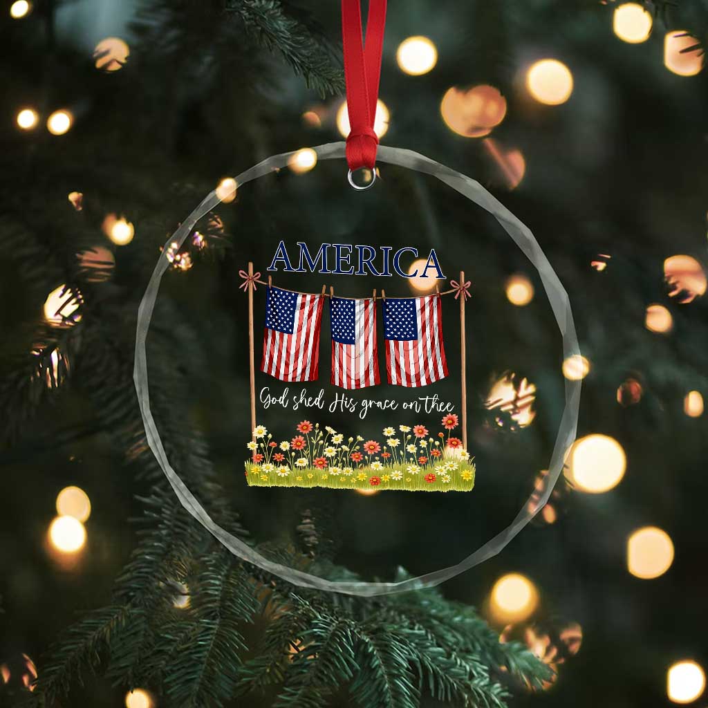 Funny America God Shed His Grace On Thee Crystal Glass Ornament 4th Of July Christian American Flag - Wonder Print Shop