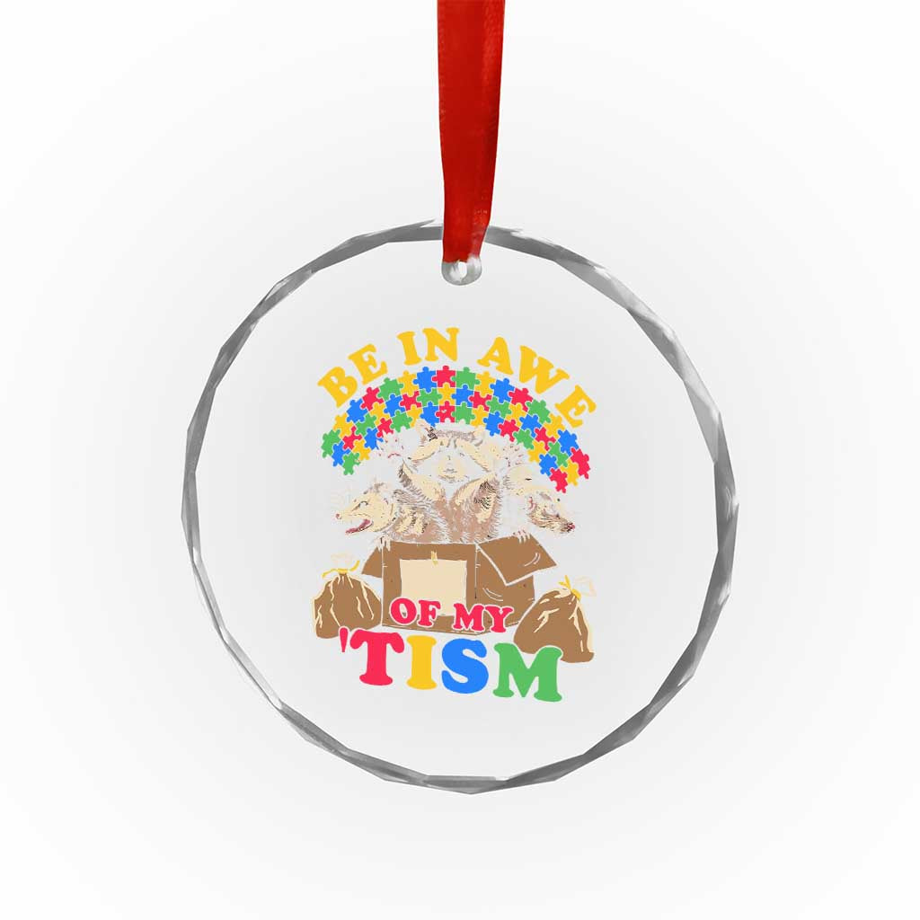 Funny Autism Awareness Crystal Glass Ornament Be In Awe Of My 'Tism Autistic Raccoon Opossum Skunk