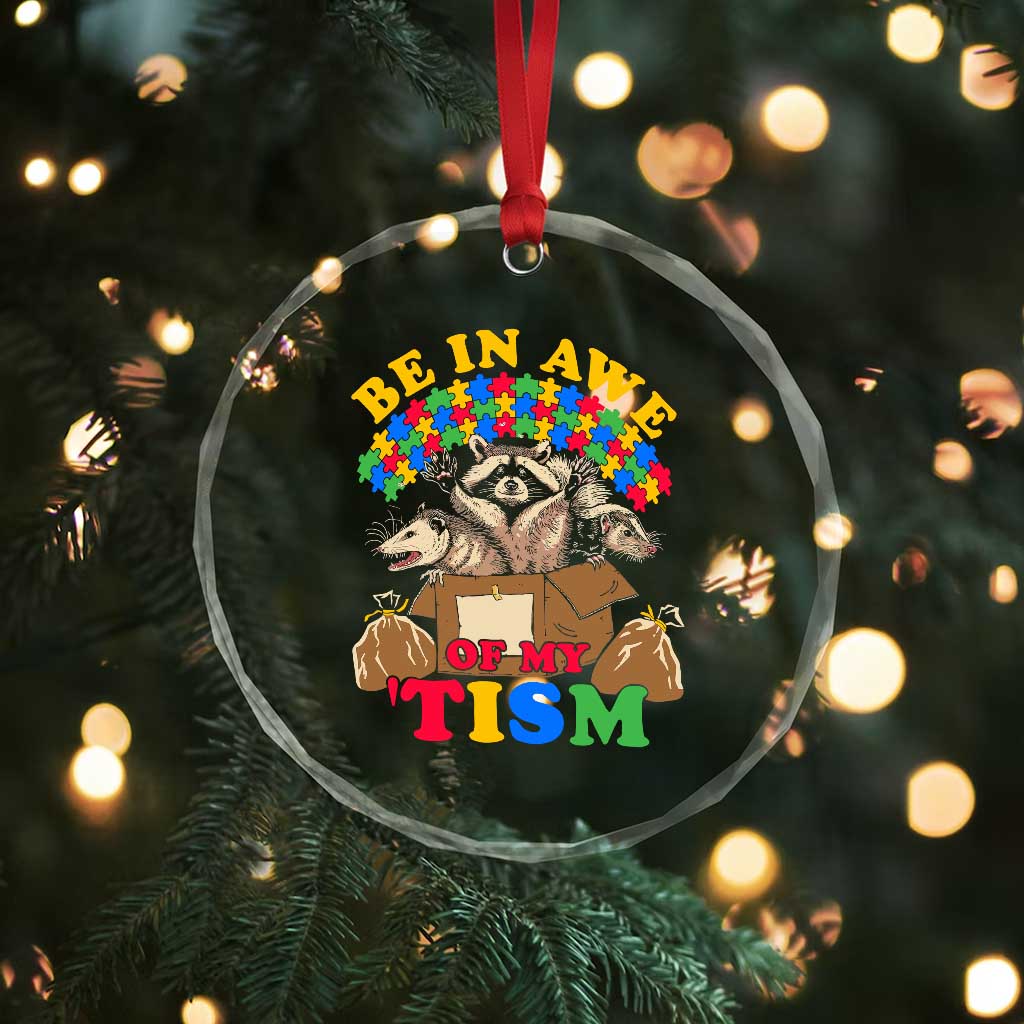 Funny Autism Awareness Crystal Glass Ornament Be In Awe Of My 'Tism Autistic Raccoon Opossum Skunk