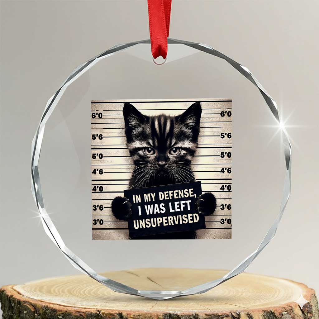 Funny Bad Cat Attitude Crystal Glass Ornament In My Defense I Was Left Unsupervised