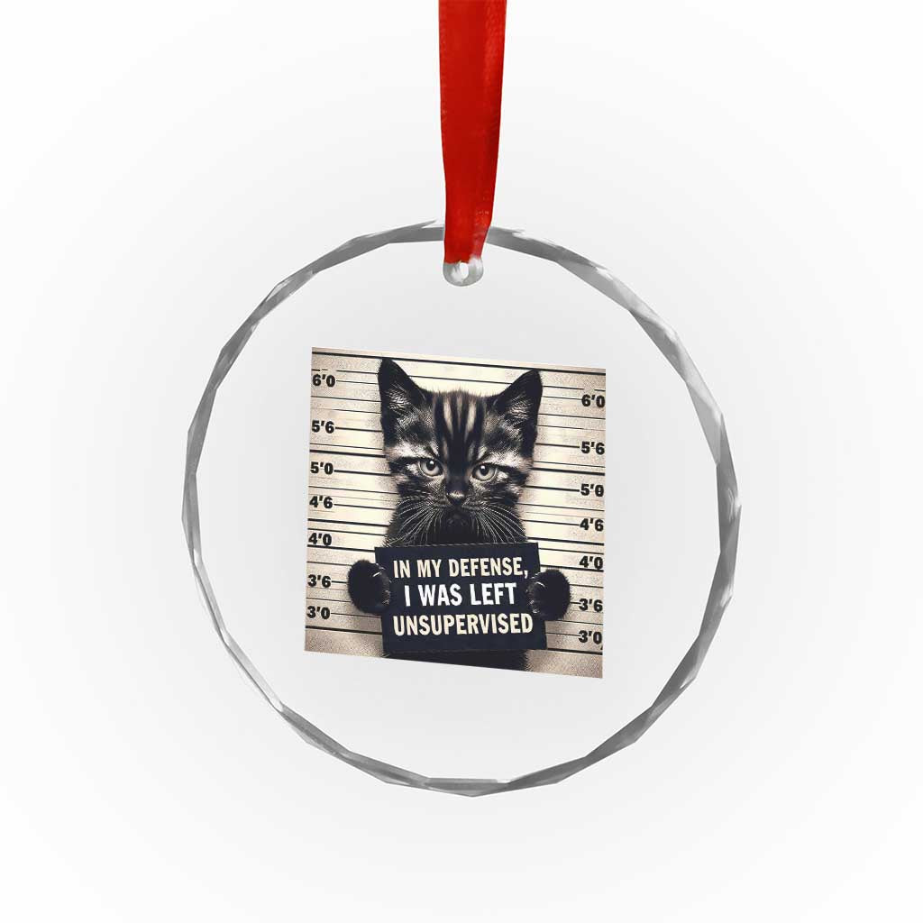 Funny Bad Cat Attitude Crystal Glass Ornament In My Defense I Was Left Unsupervised