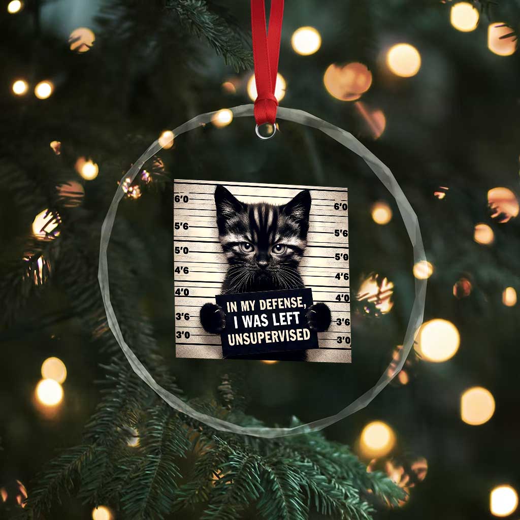 Funny Bad Cat Attitude Crystal Glass Ornament In My Defense I Was Left Unsupervised
