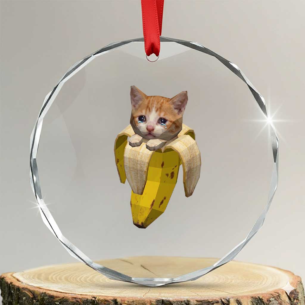 Funny Bananacat Meme Lover Crystal Glass Ornament Cute Kitty Banana Costume