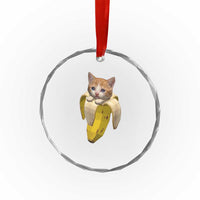 Funny Bananacat Meme Lover Crystal Glass Ornament Cute Kitty Banana Costume