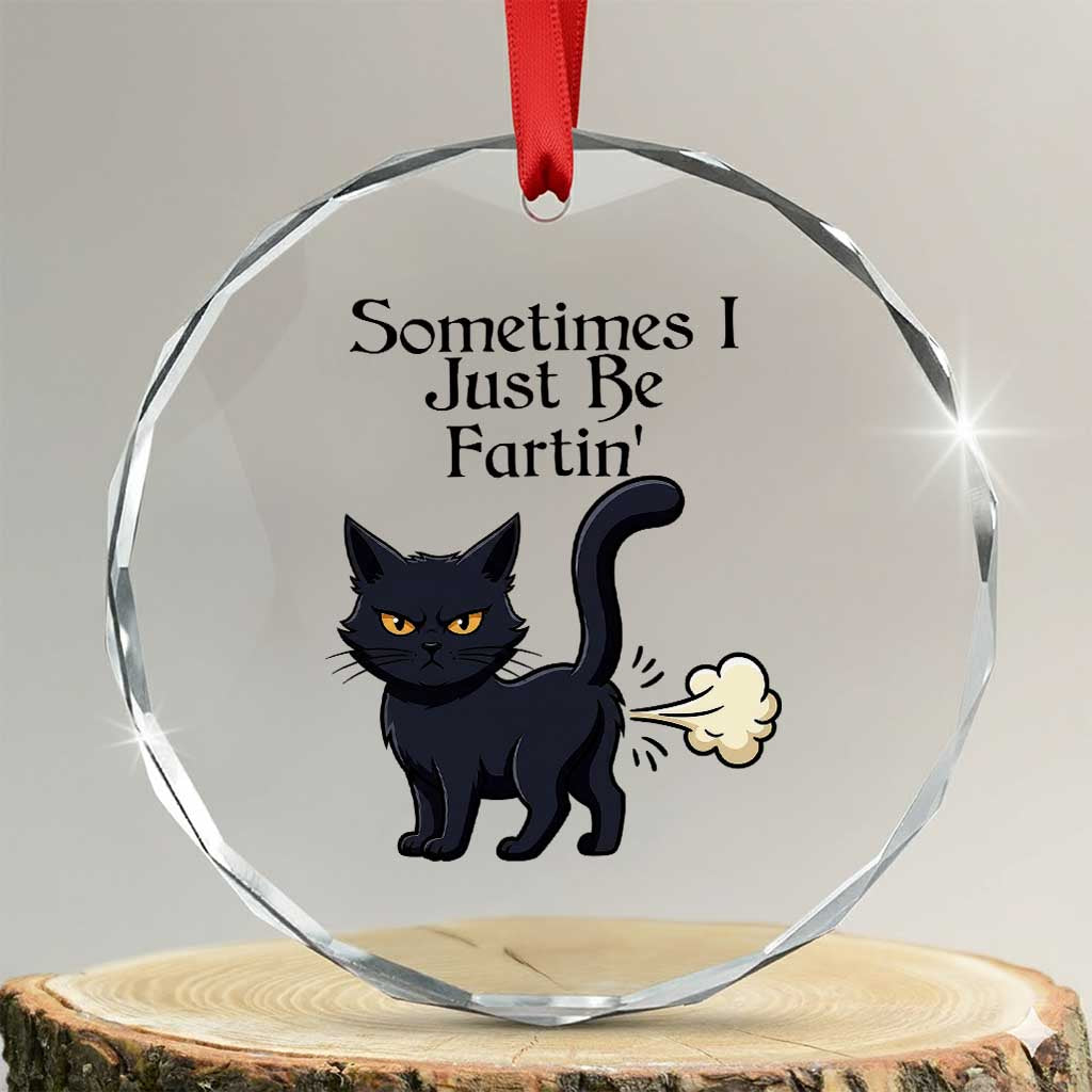 Funny Black Cat Bathroom Humor Crystal Glass Ornament Sometimes I Just Be Fartin