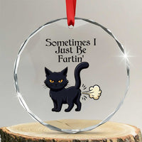 Funny Black Cat Bathroom Humor Crystal Glass Ornament Sometimes I Just Be Fartin