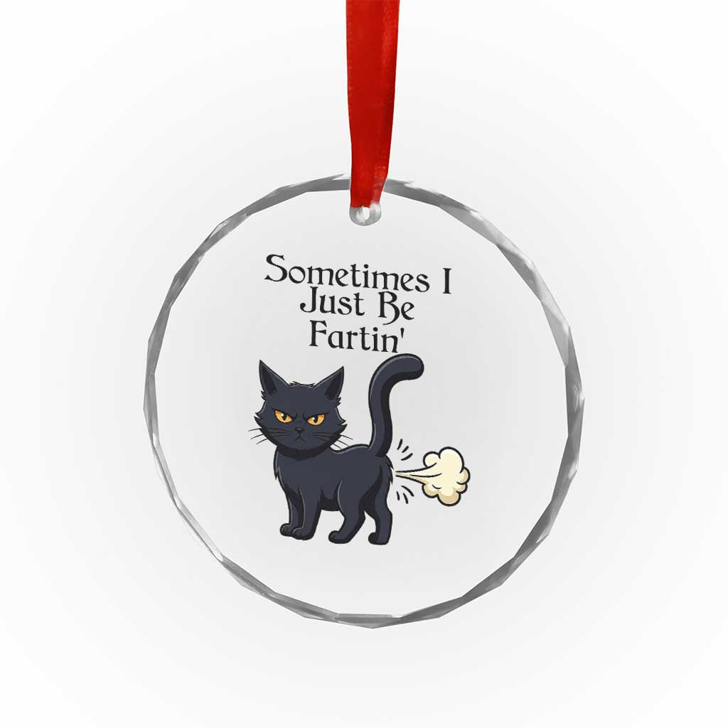 Funny Black Cat Bathroom Humor Crystal Glass Ornament Sometimes I Just Be Fartin