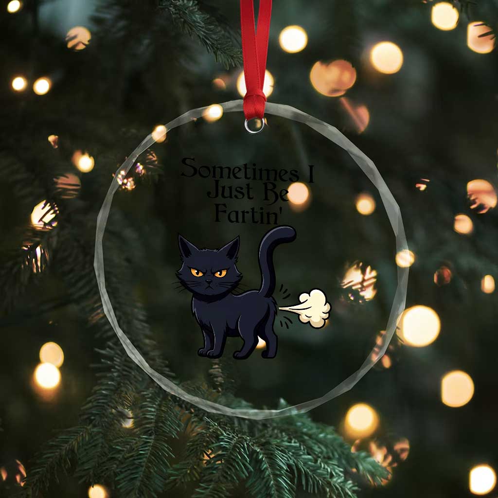 Funny Black Cat Bathroom Humor Crystal Glass Ornament Sometimes I Just Be Fartin