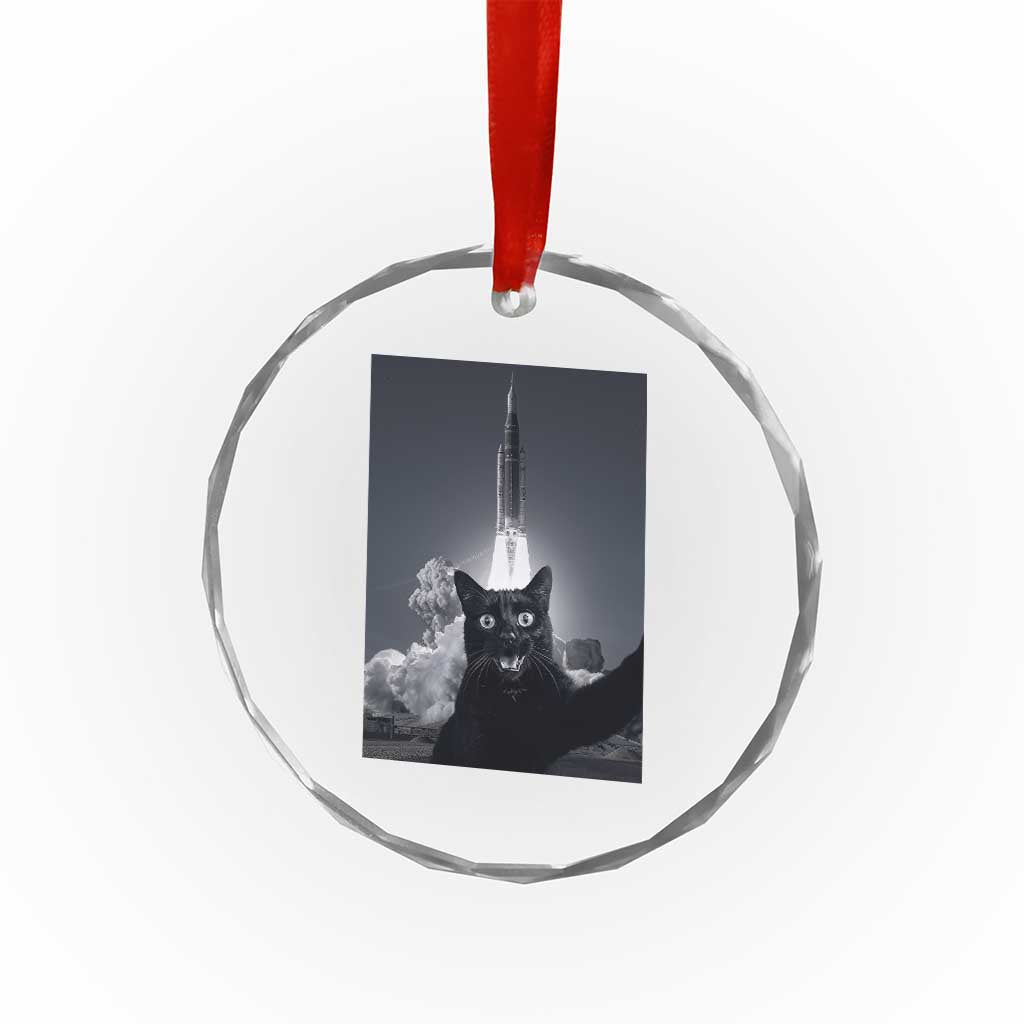 Funny Black Cat Selfie Crystal Glass Ornament Back To The Moon Mission 2026