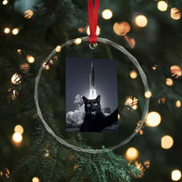 Funny Black Cat Selfie Crystal Glass Ornament Back To The Moon Mission 2026