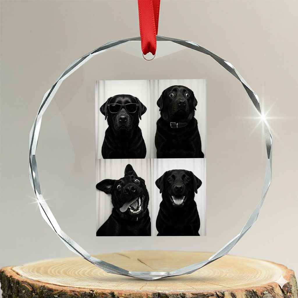 Funny Black Lab Crystal Glass Ornament Photobooth Selfie Dog Mom Gift TS12