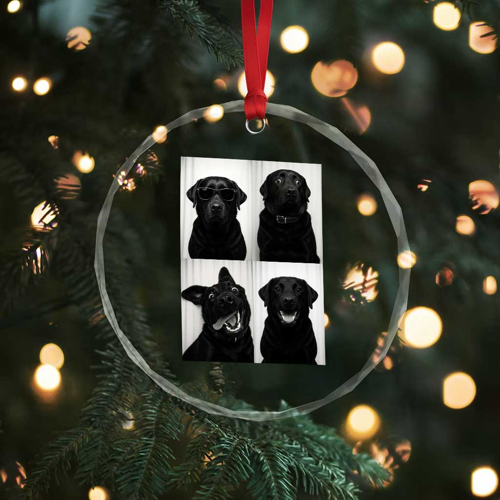 Funny Black Lab Crystal Glass Ornament Photobooth Selfie Dog Mom Gift TS12