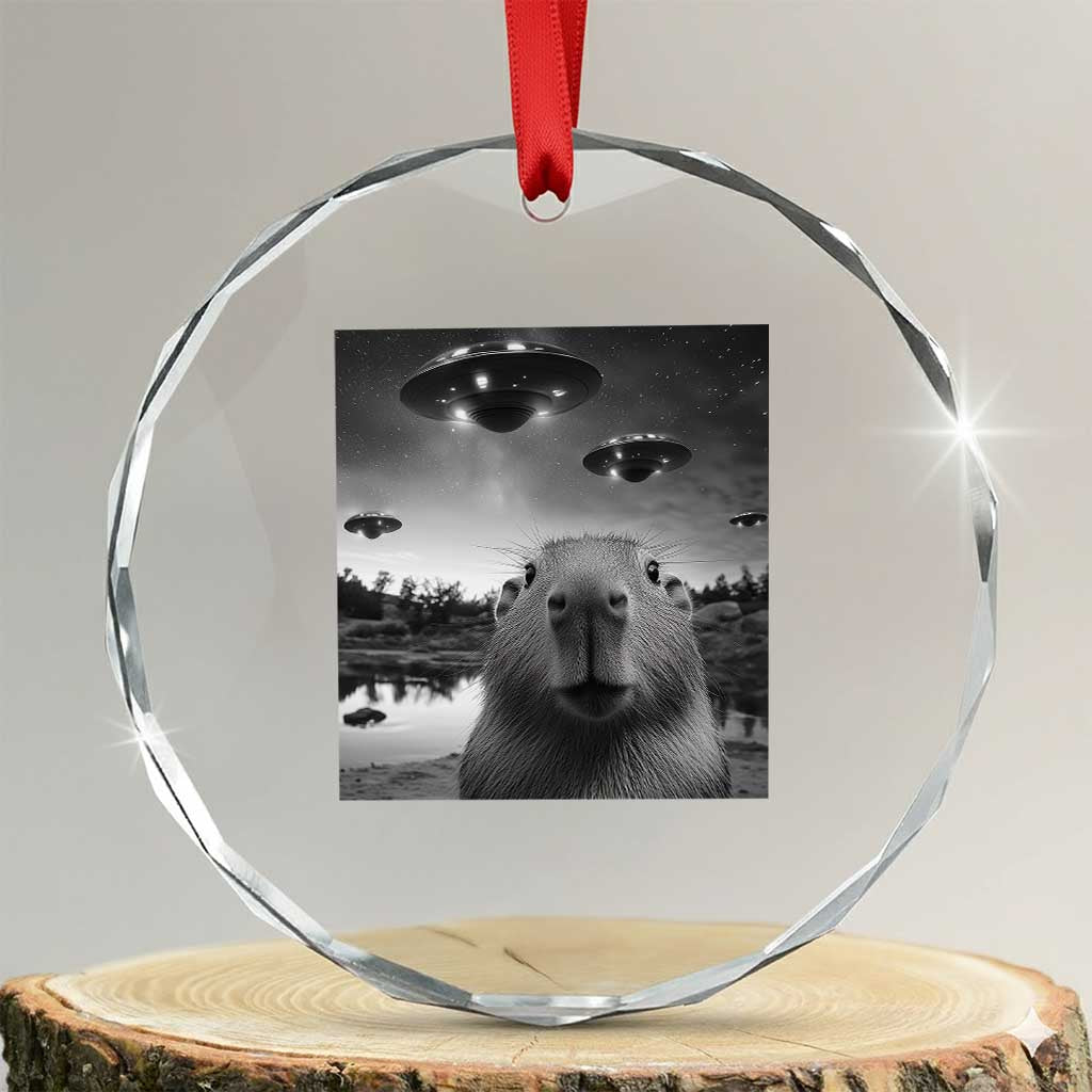 Funny Capybara Crystal Glass Ornament Selfie With UFOs Capy Meme Graphic TS02