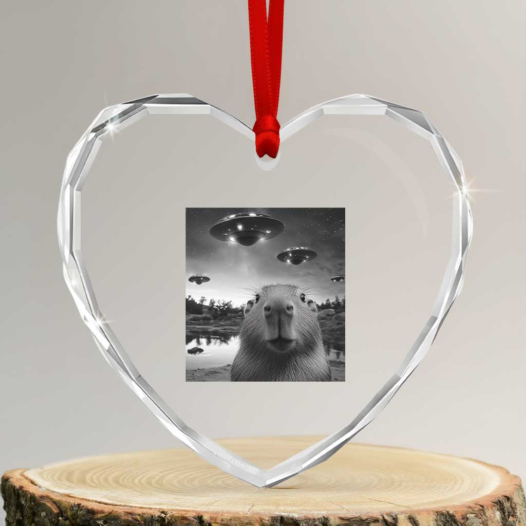 Funny Capybara Heart Crystal Glass Ornament Selfie With UFOs Capy Meme Graphic - Wonder Print Shop