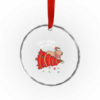 Funny Capybara Xmas Crystal Glass Ornament Don't Worry Be Capy TS09