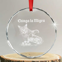 Funny Cat Anti ICE Meme Crystal Glass Ornament