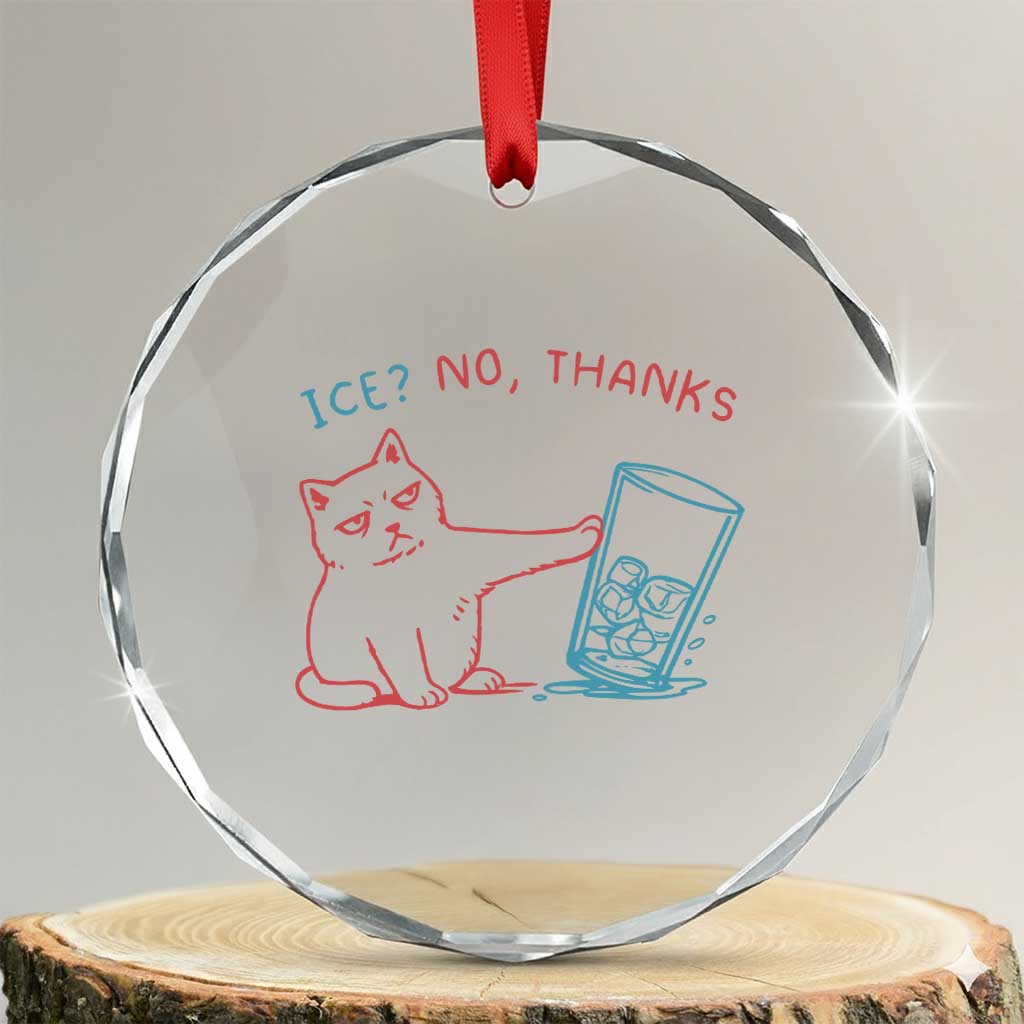 Funny Cat Anti ICE Political Protest Crystal Glass Ornament Ice? No Thanks