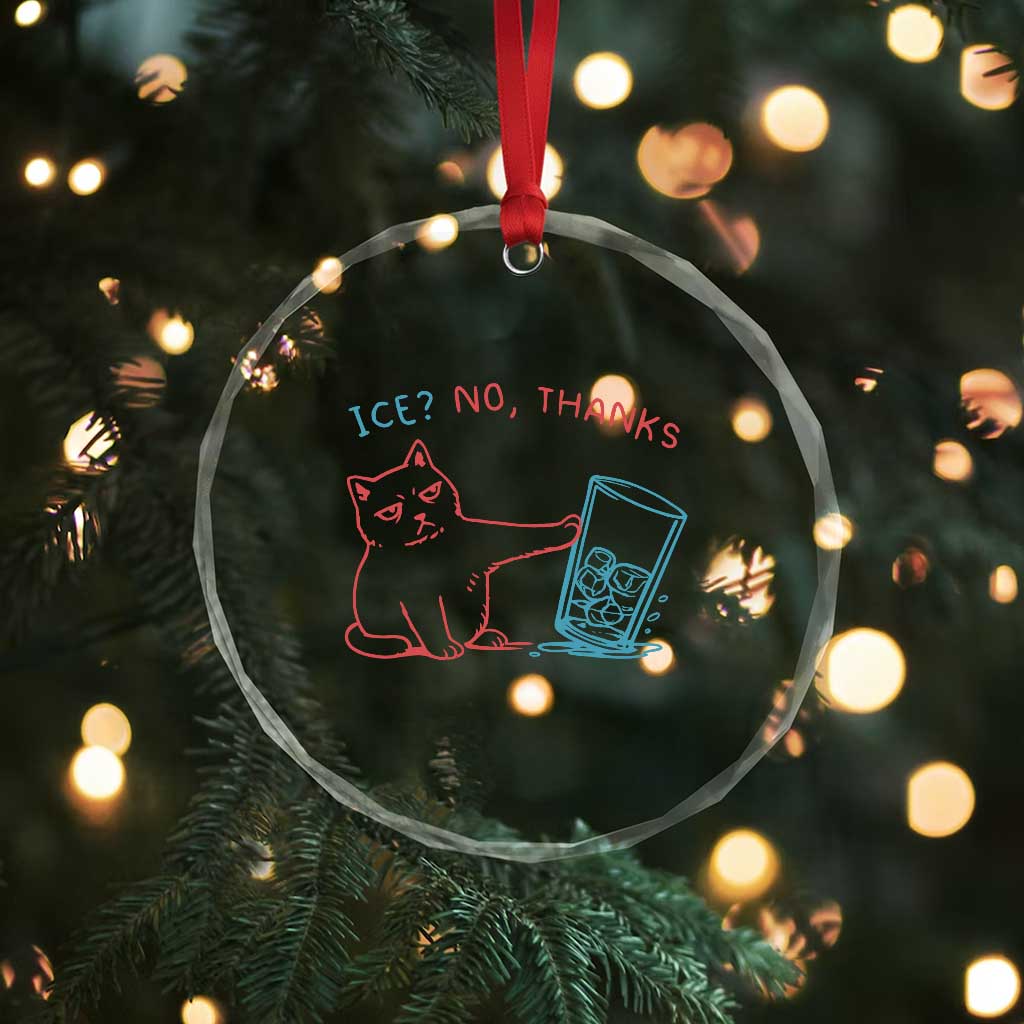 Funny Cat Anti ICE Political Protest Crystal Glass Ornament Ice? No Thanks