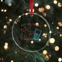 Funny Cat Anti ICE Political Protest Crystal Glass Ornament Ice? No Thanks