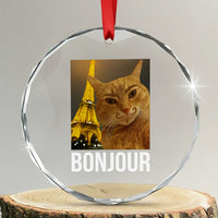 Funny Cat Bonjour Crystal Glass Ornament Paris France Eiffel Tower Orange Cat Meme - Wonder Print Shop