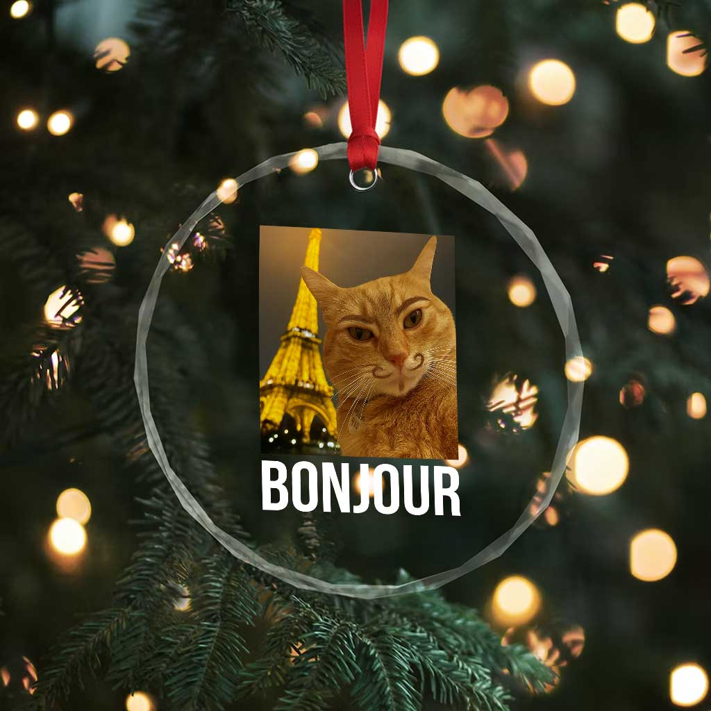 Funny Cat Bonjour Crystal Glass Ornament Paris France Eiffel Tower Orange Cat Meme - Wonder Print Shop