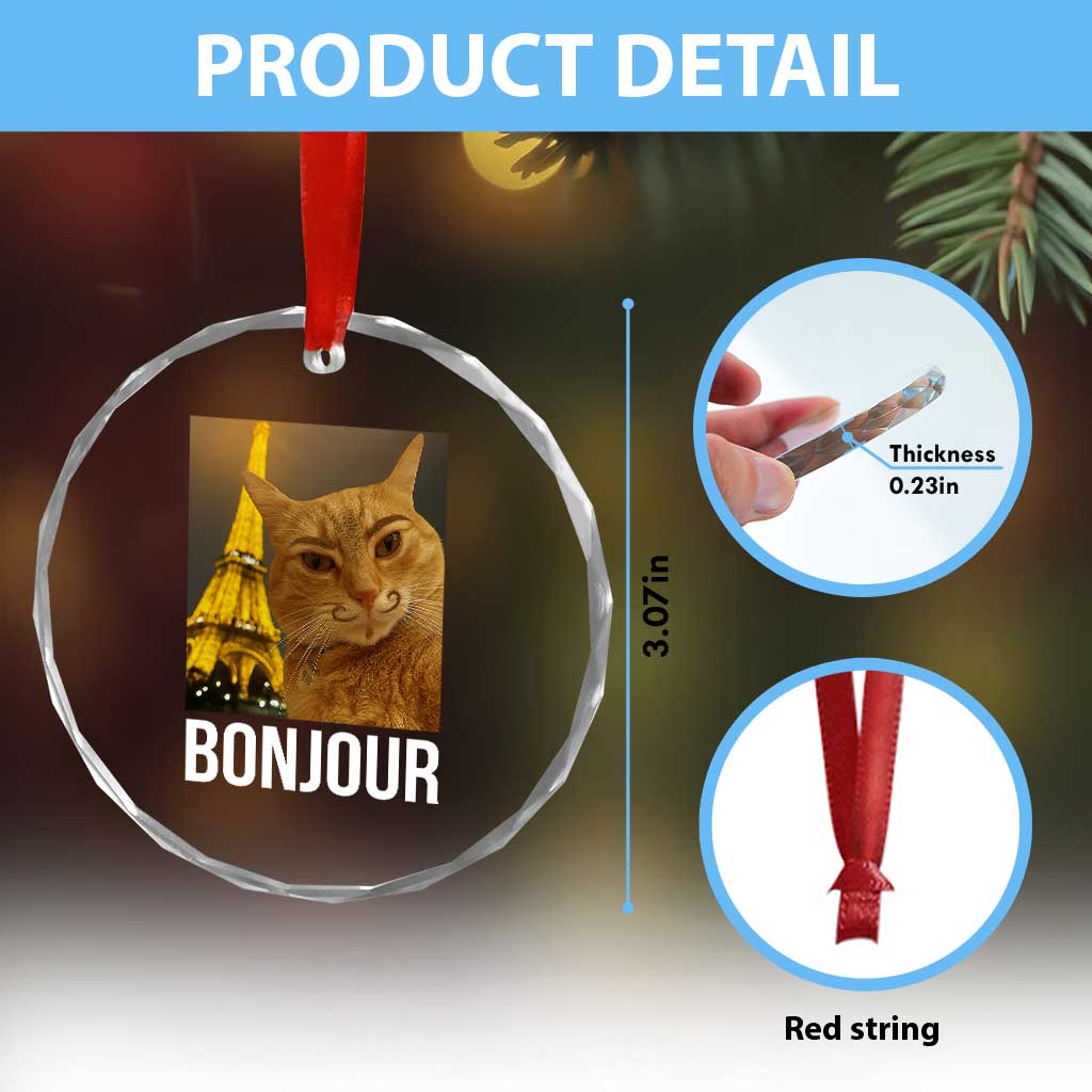 Funny Cat Bonjour Crystal Glass Ornament Paris France Eiffel Tower Orange Cat Meme - Wonder Print Shop