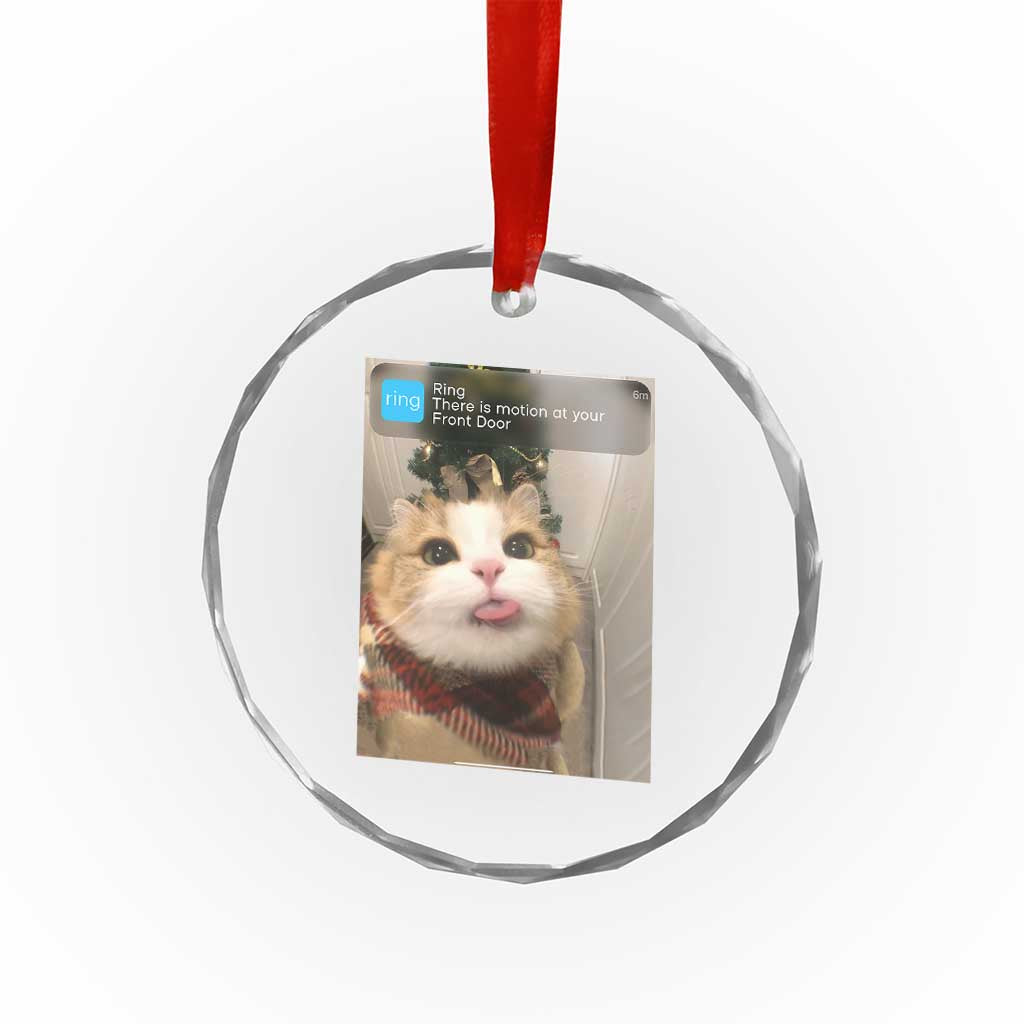Funny Cat Christmas Crystal Glass Ornament Ring There is Motion at Your Front Door Meme Xmas Tree - Wonder Print Shop
