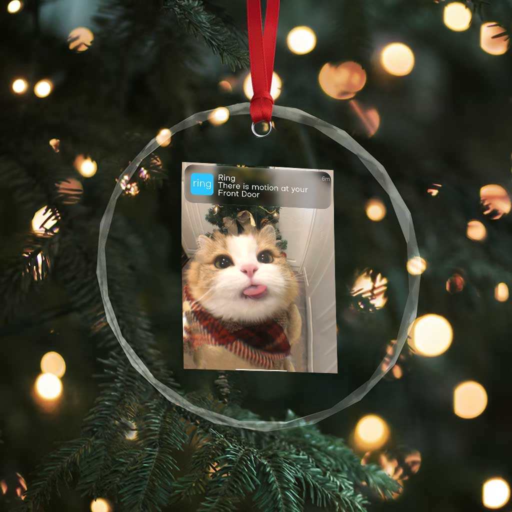 Funny Cat Christmas Crystal Glass Ornament Ring There is Motion at Your Front Door Meme Xmas Tree - Wonder Print Shop