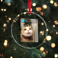 Funny Cat Christmas Crystal Glass Ornament Ring There is Motion at Your Front Door Meme Xmas Tree - Wonder Print Shop