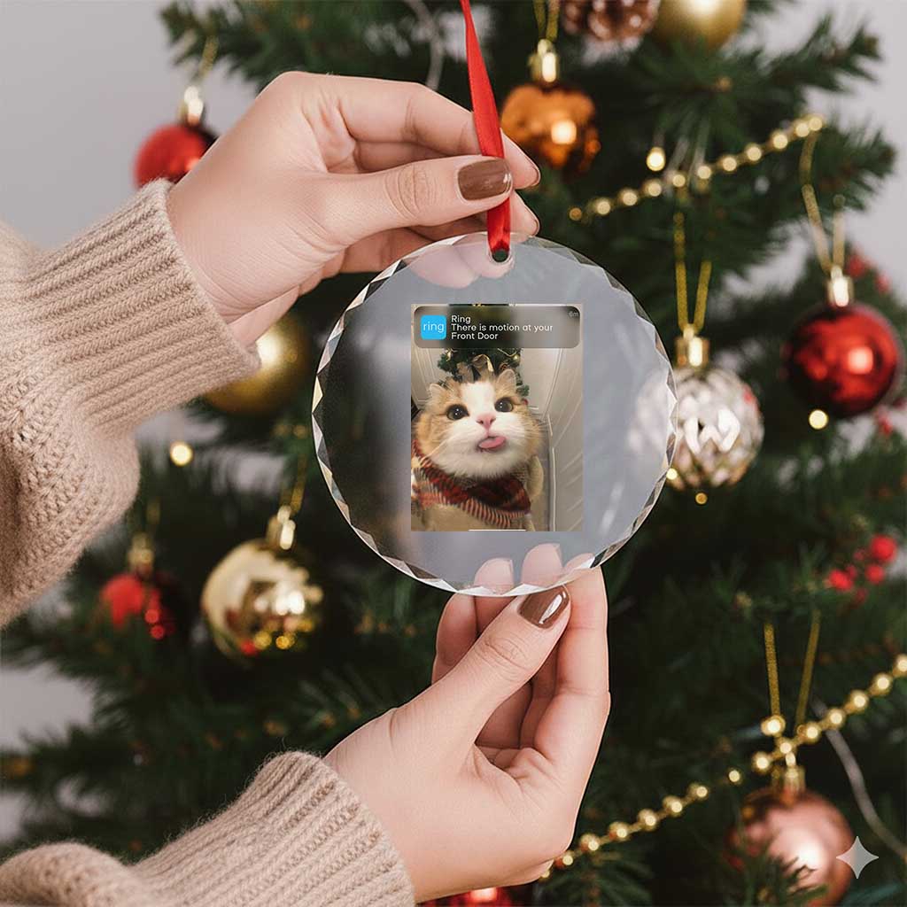 Funny Cat Christmas Crystal Glass Ornament Ring There is Motion at Your Front Door Meme Xmas Tree - Wonder Print Shop