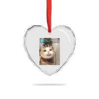 Funny Cat Christmas Heart Crystal Glass Ornament Ring There is Motion at Your Front Door Meme Xmas Tree - Wonder Print Shop