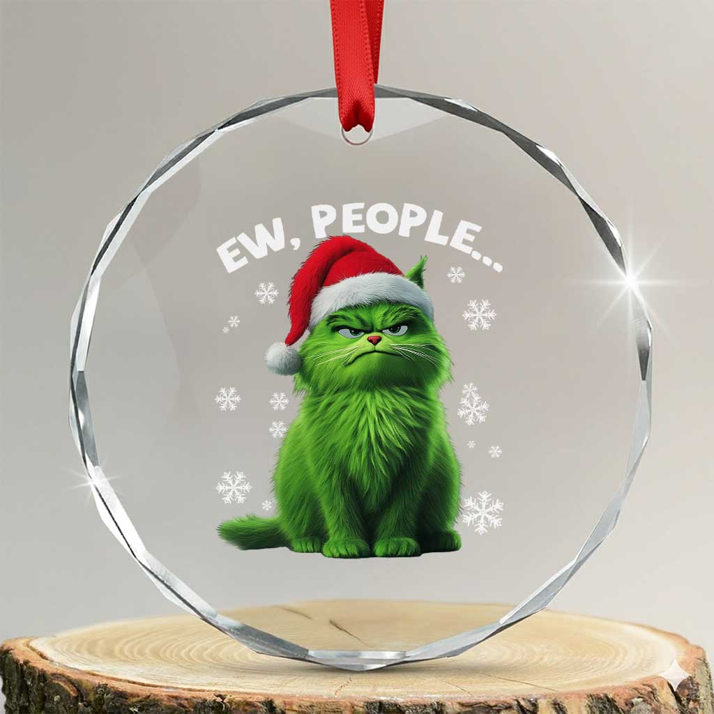 Funny Cat Crystal Glass Ornament Ew People Xmas Gag Gift TS10