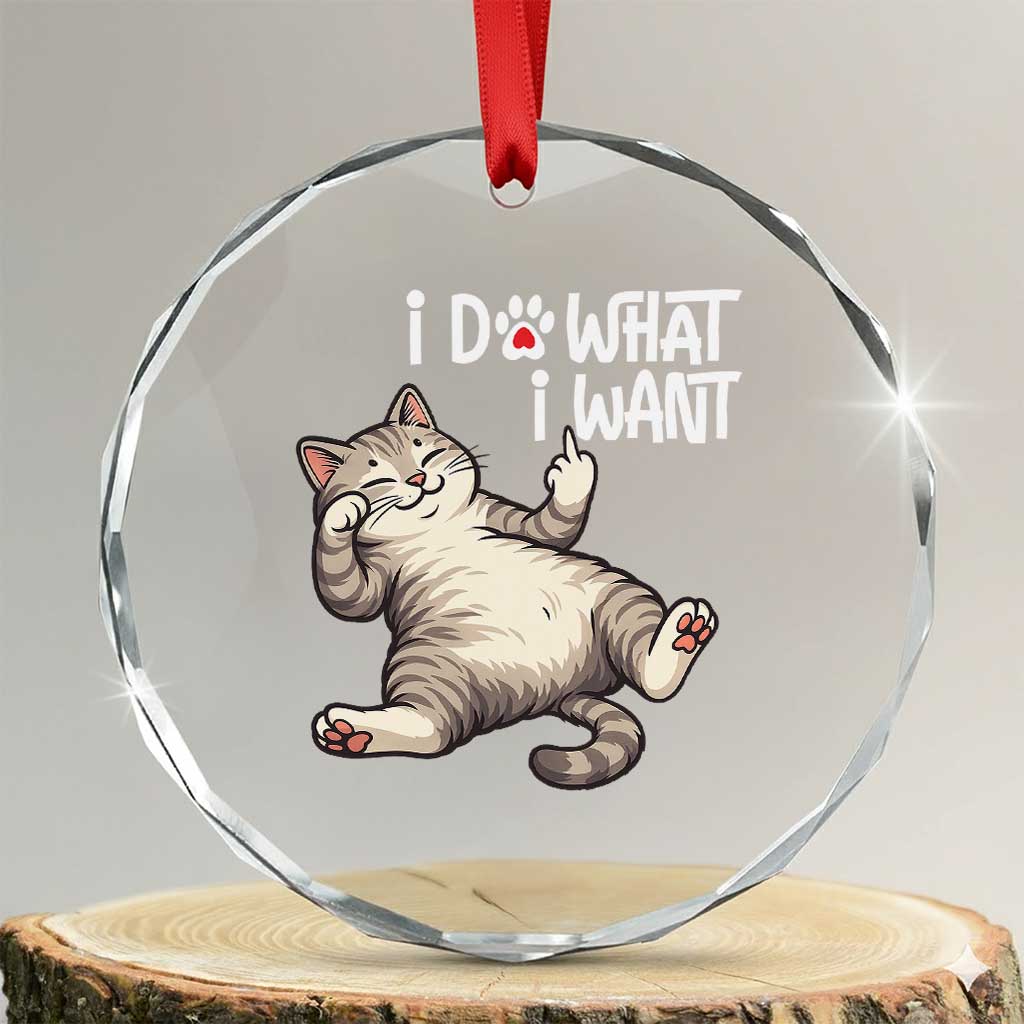 Funny Cat Crystal Glass Ornament I Do What I Want TS12