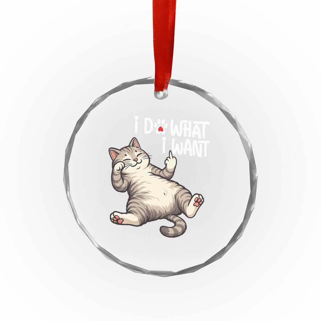 Funny Cat Crystal Glass Ornament I Do What I Want TS12