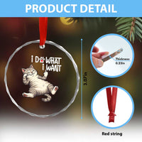 Funny Cat Crystal Glass Ornament I Do What I Want TS12