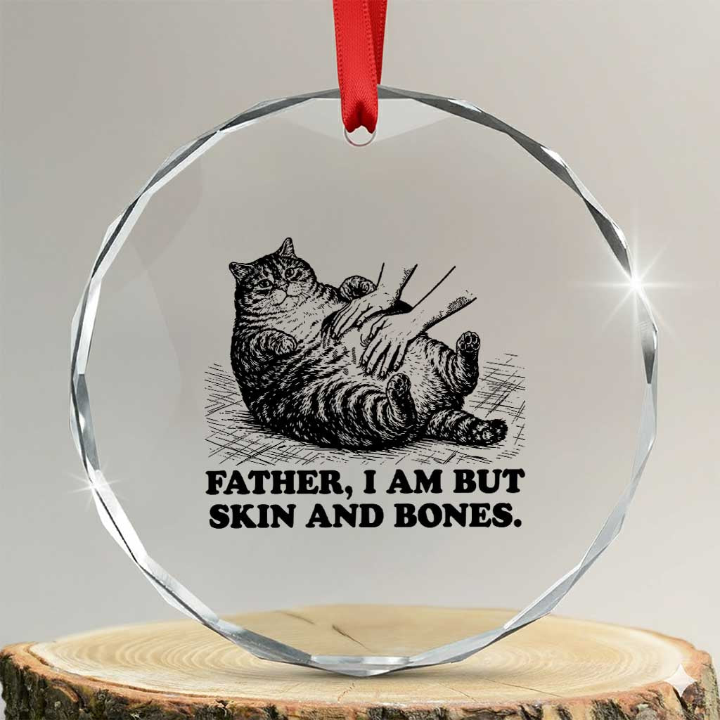 Funny Cat Dad Cat Lover Crystal Glass Ornament Father I Am But Skin and Bones