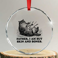 Funny Cat Dad Cat Lover Crystal Glass Ornament Father I Am But Skin and Bones