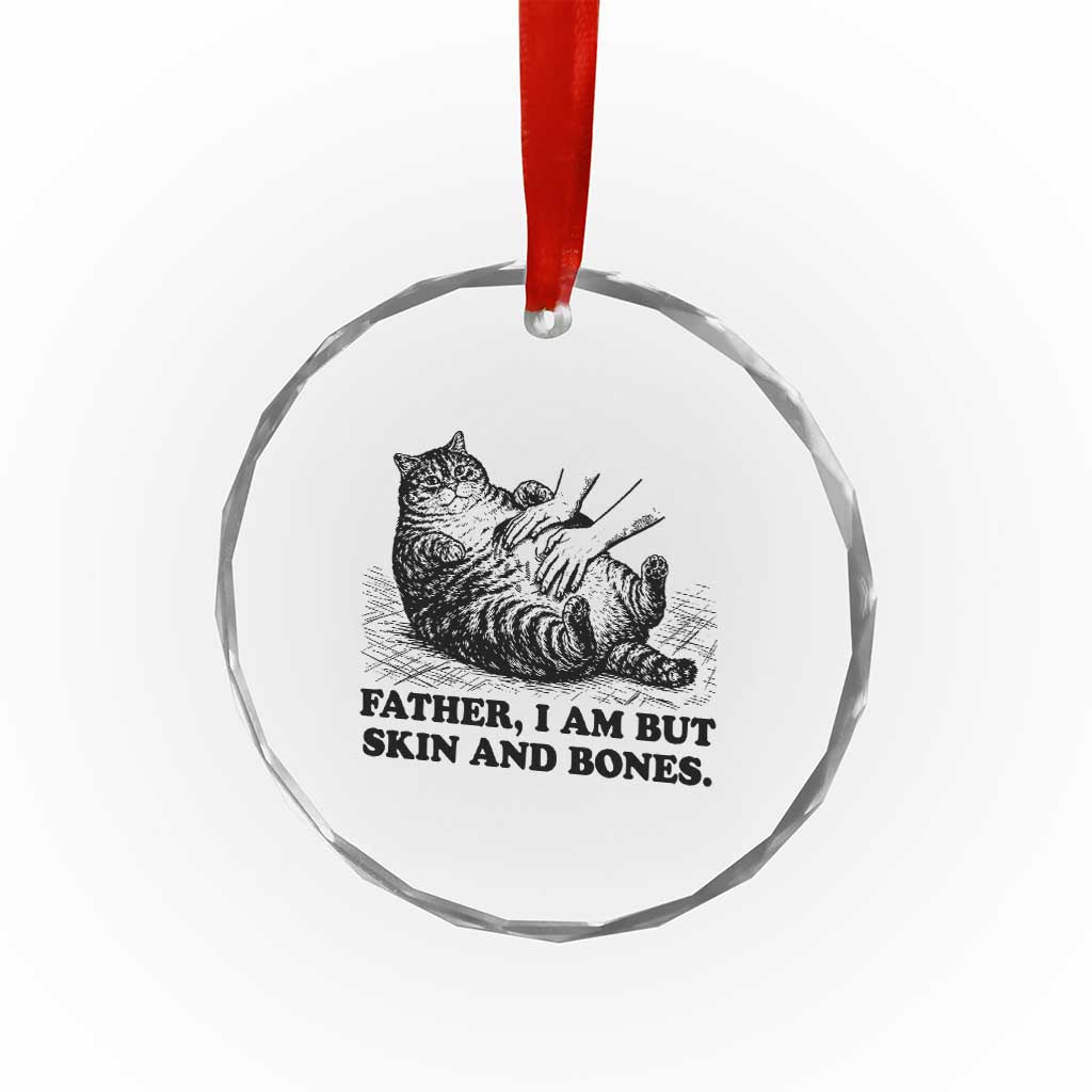 Funny Cat Dad Cat Lover Crystal Glass Ornament Father I Am But Skin and Bones