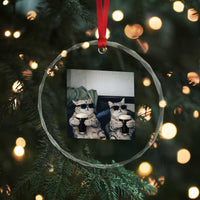 Funny Cat Drinking Irish Stout Beer Crystal Glass Ornament Black Beer and Cat Lovers