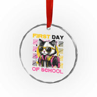 Funny Cat First Day Of School Crystal Glass Ornament Back To School Gift For Kids TS12
