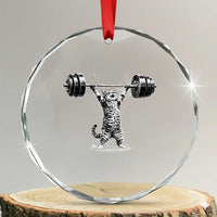 Funny Cat Gym Crystal Glass Ornament Weightlifting Workout