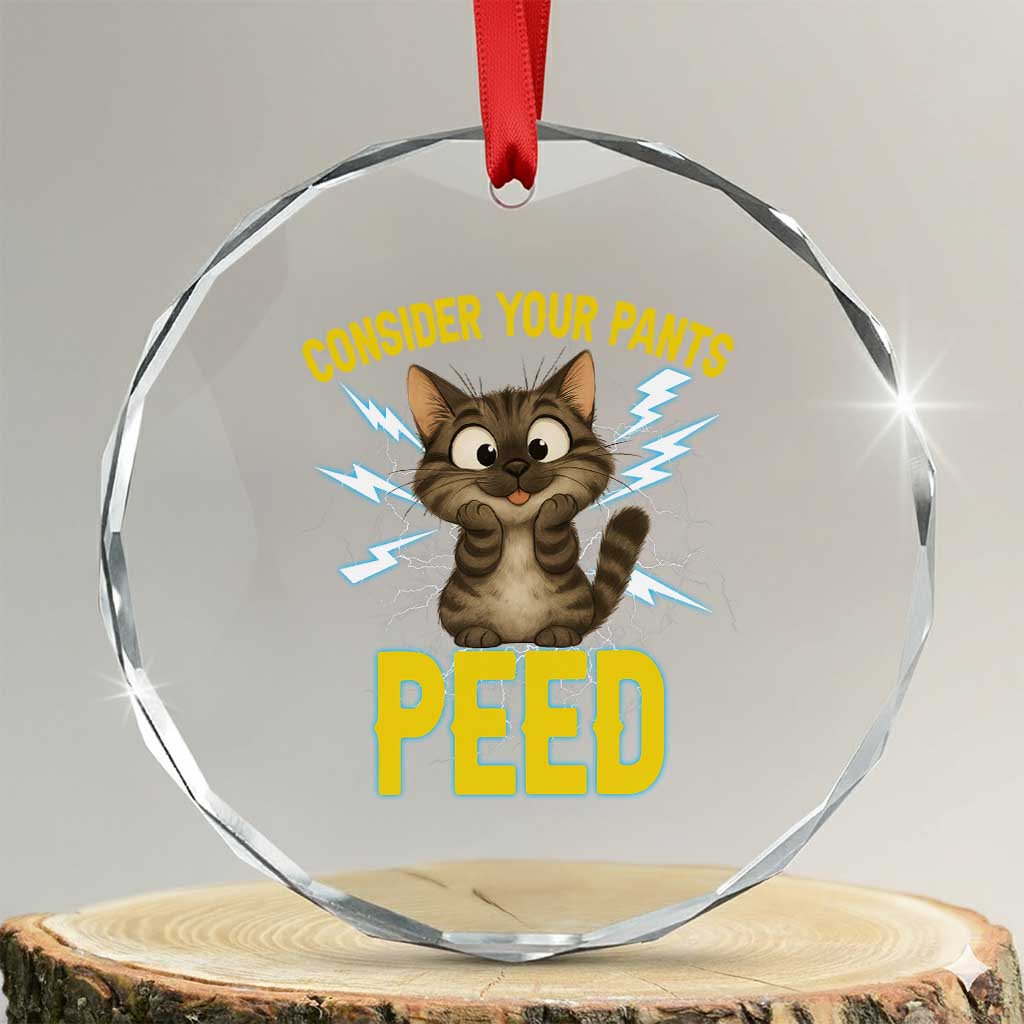 Funny Cat Lover Crystal Glass Ornament Consider Your Pants Peed Quote TS12